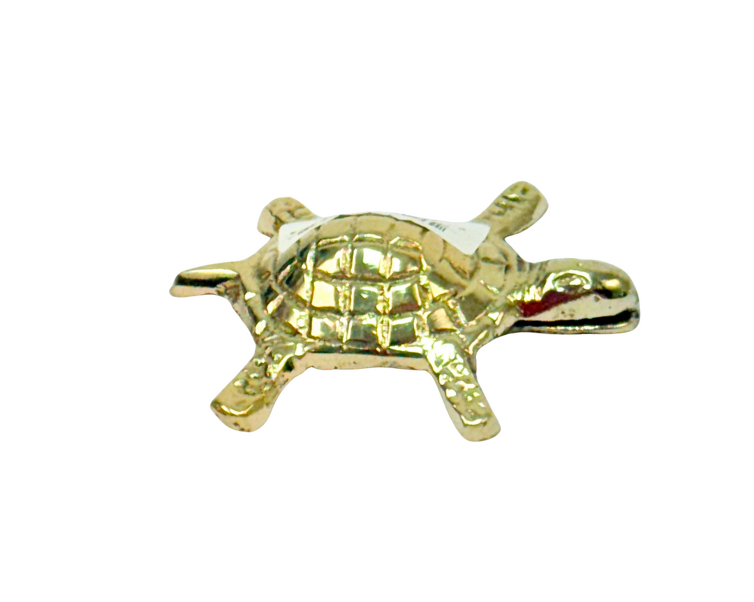 Brass Turtle 2.5 Inch
