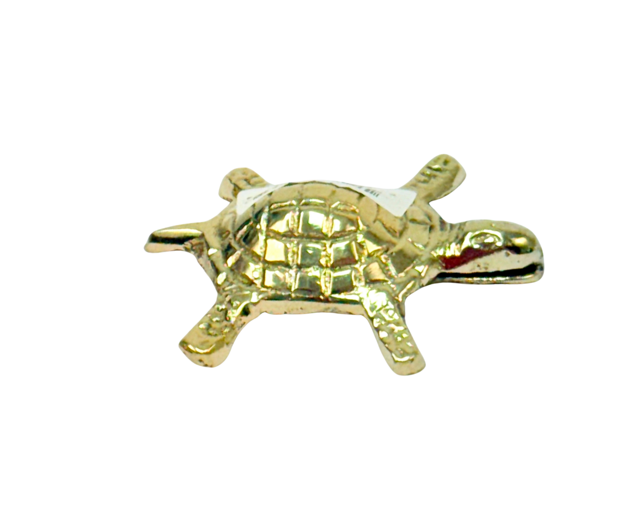 Turtle Brass Large